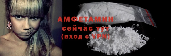 сатива Аркадак