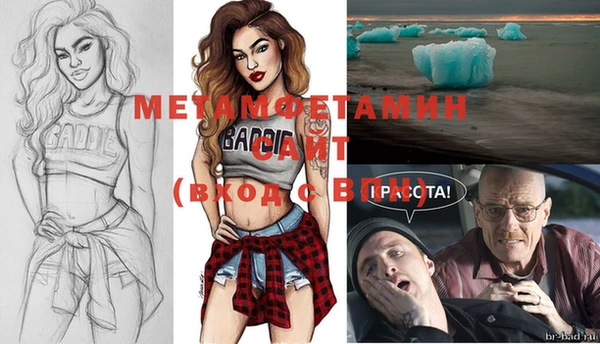 сатива Аркадак